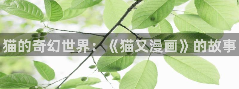 羞羞漫画无遮拦