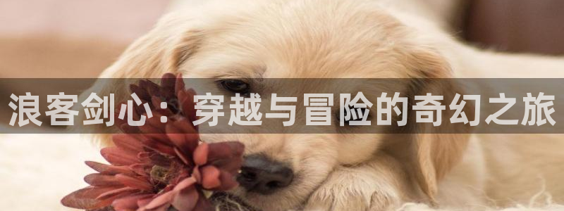 羞羞漫画在线免费观看入口