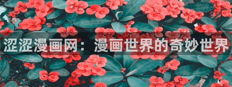 羞羞漫画免费进入官方网