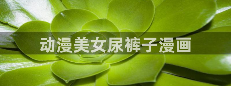 羞羞漫画官网在线看