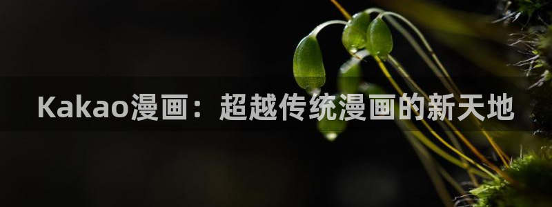 羞羞漫画网页版登录