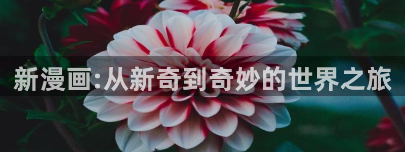 羞羞漫画汗汗漫画歪歪漫画sss