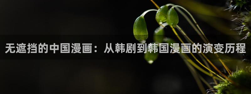 羞羞漫画无
