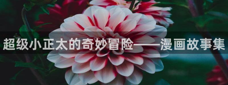 羞羞漫画免费漫画网页版