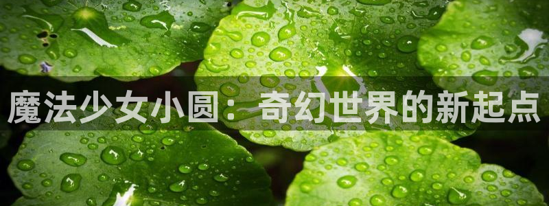 羞羞漫画在线观看免费