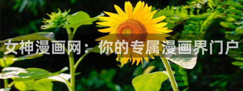 羞羞漫画.免费