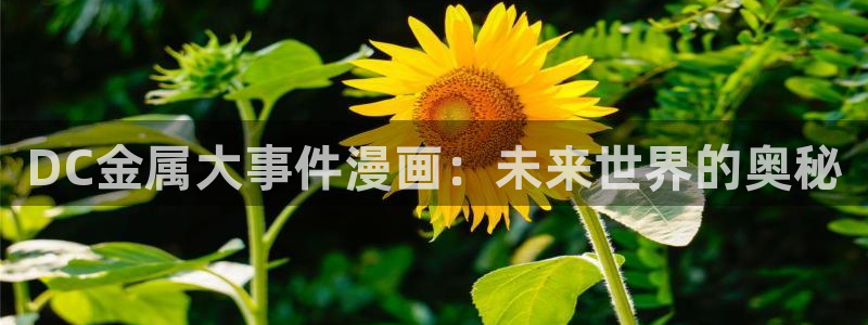 羞羞漫画免费网站在线看