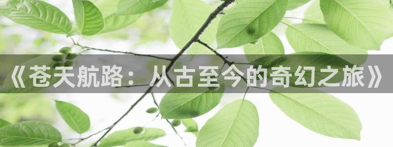 小舞羞羞漫画