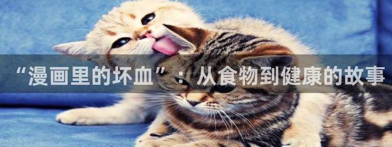 羞羞漫画黄漫免费观看